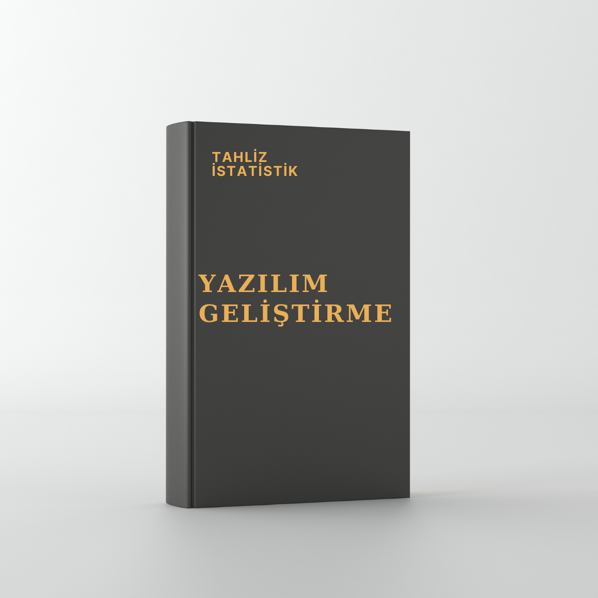Yazılım Geliştirme Hizmeti