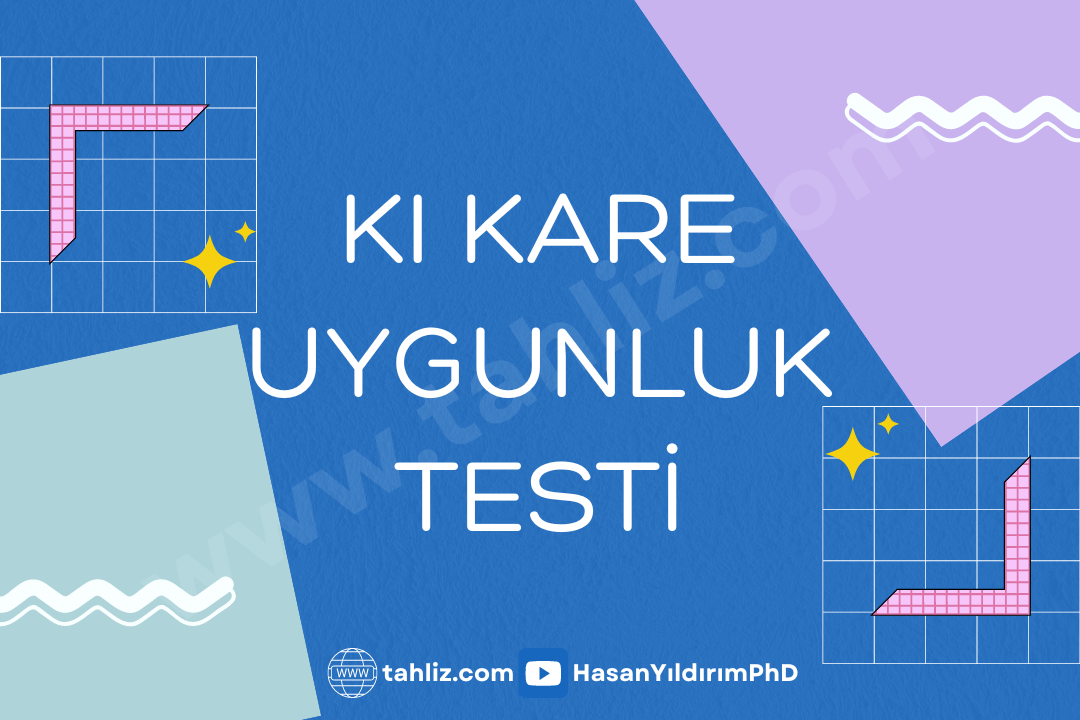 ki kare uygunluk testi